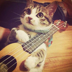 四川少女B站2023
