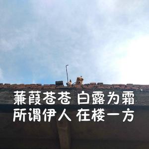 四川少女B站2023
